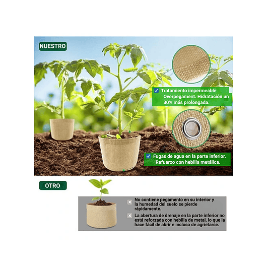Kit Herramientas Esencial de Plantas Suculentas y Cactus 6