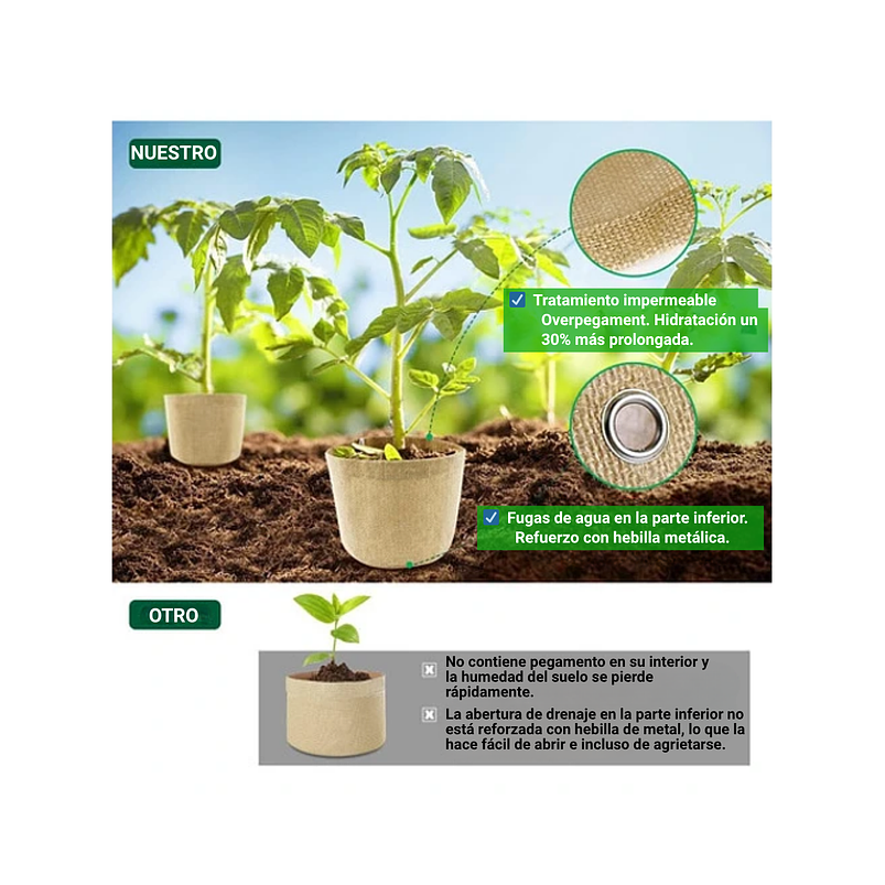 Kit Herramientas Esencial de Plantas Suculentas y Cactus 6