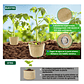 Kit Herramientas Esencial de Plantas Suculentas y Cactus - Miniatura 6