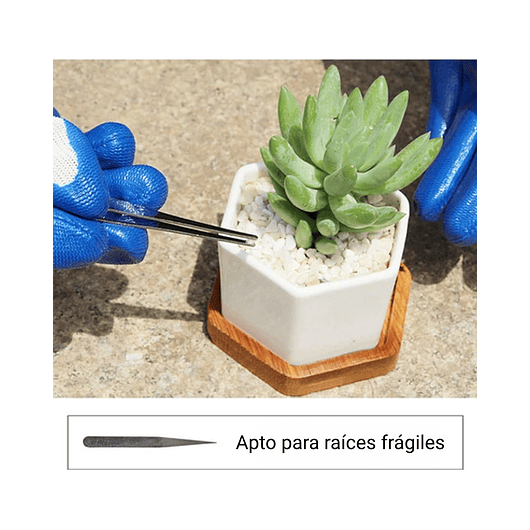 Kit Básico Herramientas Cuidado Cactus Suculentas Baby Pink 3