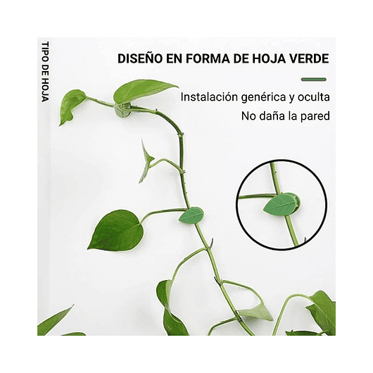 Gancho De Amarre De Plantas, Hortalizas De Pared X 20 Piezas 3