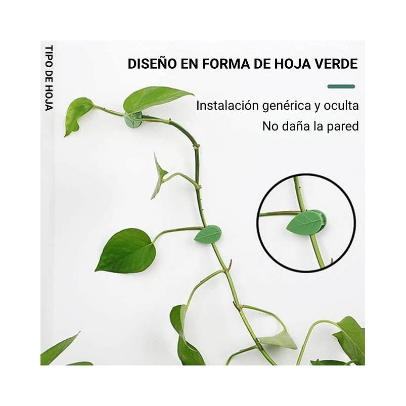 Gancho De Amarre De Plantas, Hortalizas De Pared X 20 Piezas 3