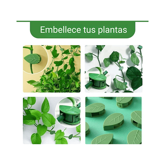 Gancho De Amarre De Plantas, Hortalizas De Pared X 20 Piezas 8