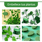 Gancho De Amarre De Plantas, Hortalizas De Pared X 20 Piezas - Miniatura 8