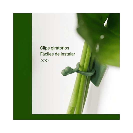 Clip Gancho De Amarre De Plantas, Hortalizas De Pared X 10pz 5
