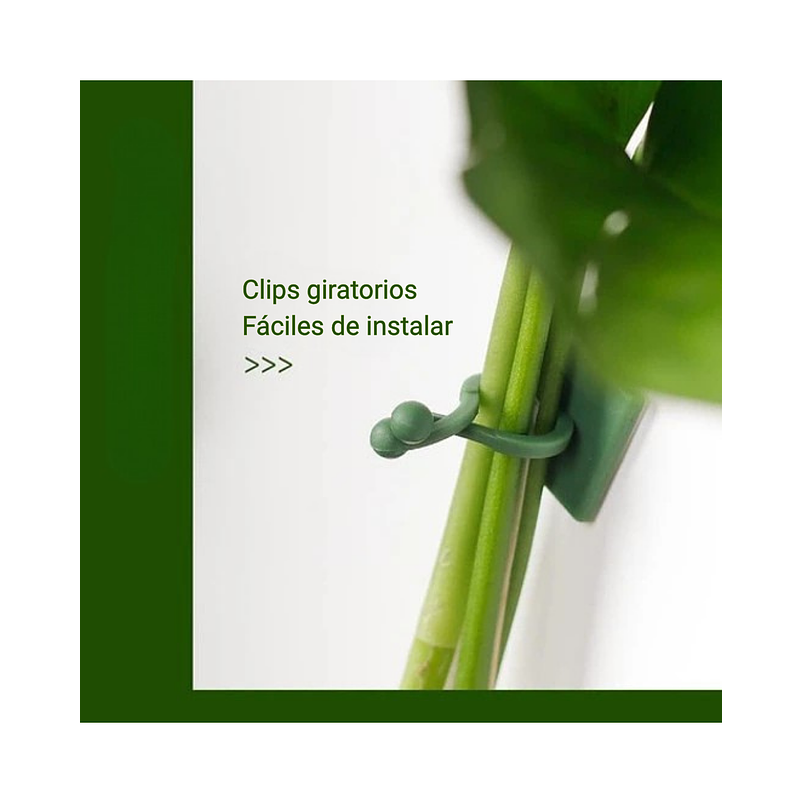 Clip Gancho De Amarre De Plantas, Hortalizas De Pared X 10pz 5