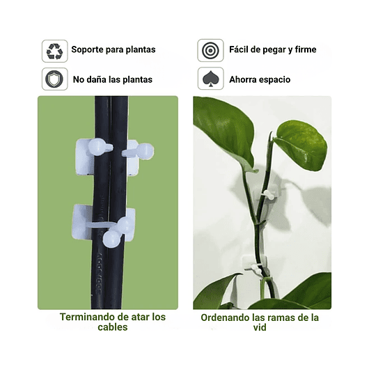 Clip Gancho De Amarre De Plantas, Hortalizas De Pared X 10pz 11