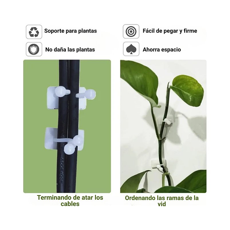 Clip Gancho De Amarre De Plantas, Hortalizas De Pared X 10pz 11