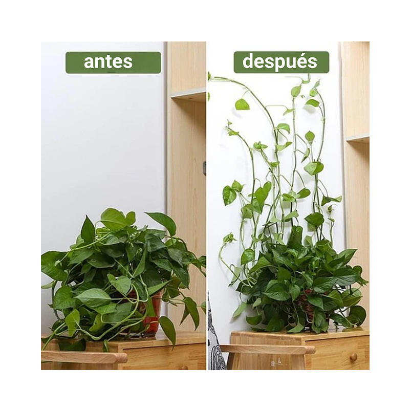Clip Gancho De Amarre De Plantas, Hortalizas De Pared X 10pz 14