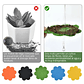 Kit Herramientas Esencial de Siembra Para Cactus y Suculenta - Miniatura 5