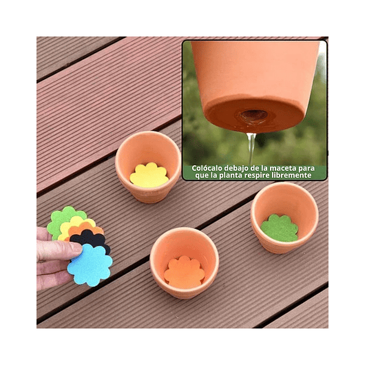 Kit Herramientas Esencial de Siembra Para Cactus y Suculenta 6