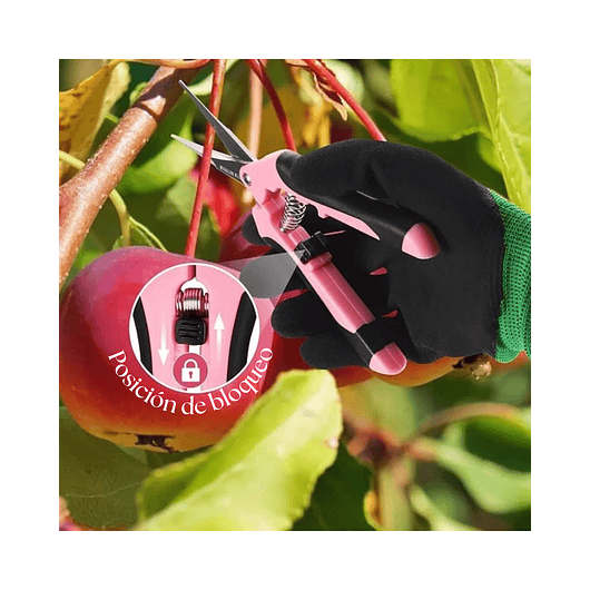 Kit Tijeras de Poda Despunte Plantas Jardineria Acero Inox 6