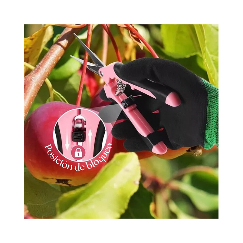 Kit Tijeras de Poda Despunte Plantas Jardineria Acero Inox 6