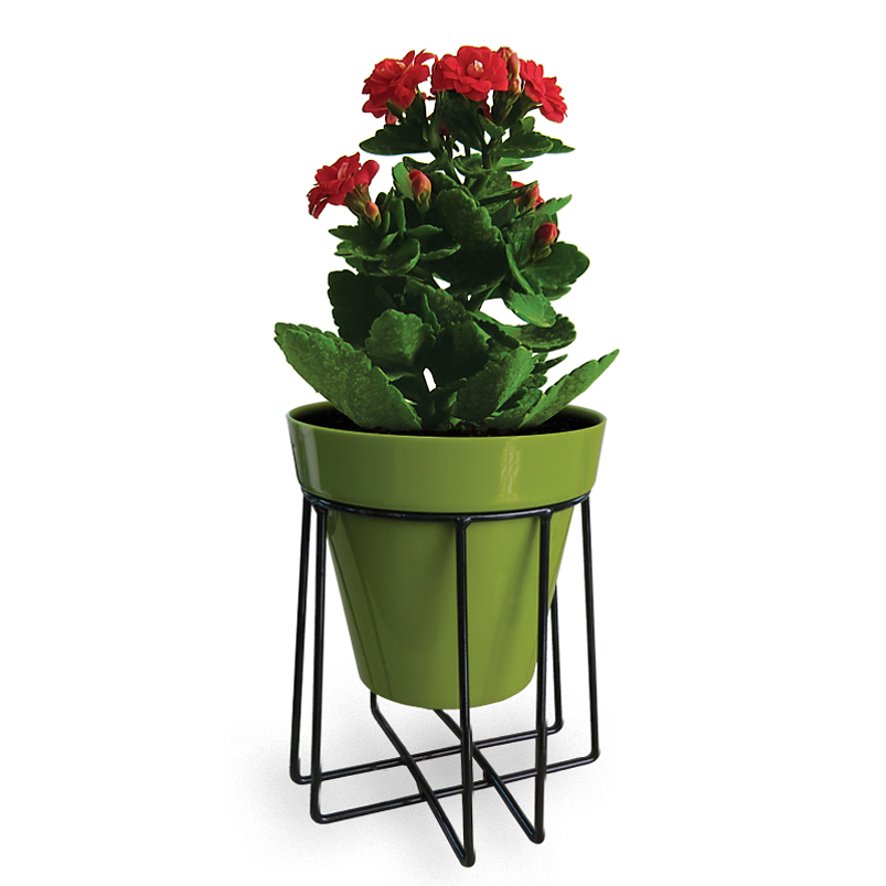 Soporte De Macetas Plantas 14cm Diámetro x16cm Alto Veracruz 1