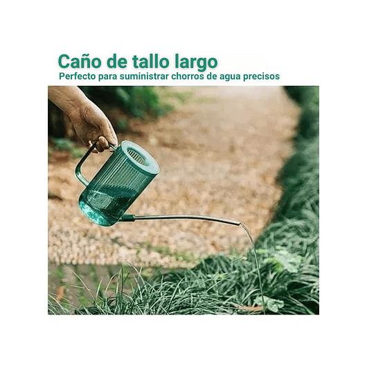 Regadera Premium Salida Larga  x1l Colores Transparente 13