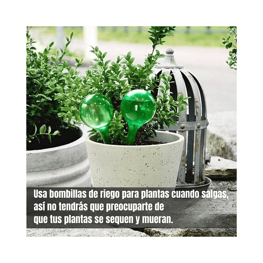 Regadera Plastica Plantas Premium Salida en Acero más Spray x1 litro mas 2 Peras de Riego 5