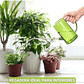 Kit Regadera Plástica Plantas Salida en Acero x 1 Litro - Miniatura 4