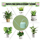 Regadera De Plantas Premium X1.5 Litros Salida Larga Acero G - Miniatura 5