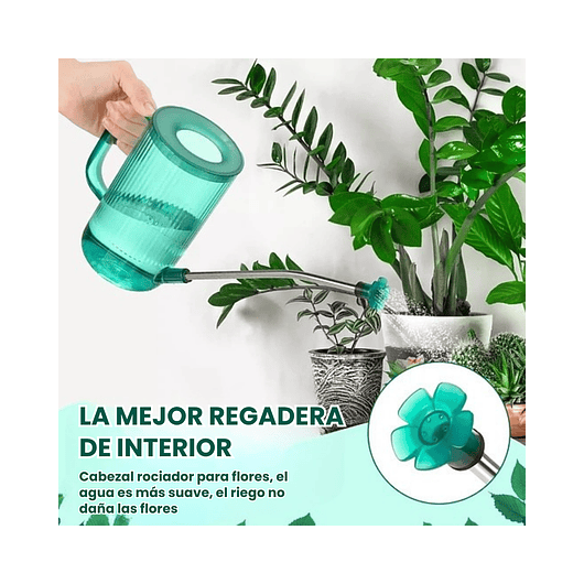 Regadera Premium para Plantas x1 Litro Salida Larga Acero 4