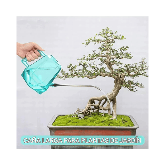 Regadera Premium Plantas 1.2lt +botella Exprimir De Riego 5