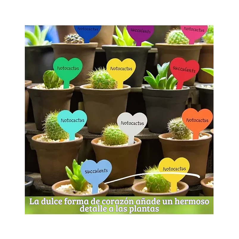 Etiquetas Plantas Siembra Corazón x50 Unidades 10