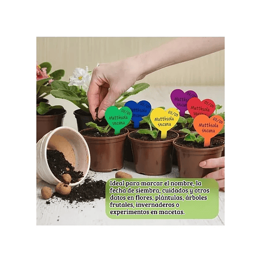 Etiquetas Plantas Siembra Corazón x50 Unidades 12