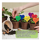 Etiquetas Plantas Siembra Corazón x50 Unidades - Miniatura 12