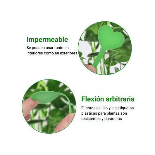 Etiquetas Plantas Siembra Corazón x50 Unidades 21