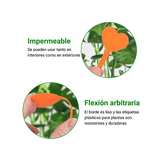 Etiquetas Plantas Siembra Corazón x50 Unidades 25