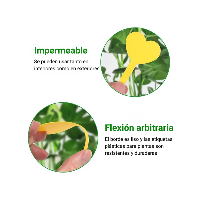 Etiquetas Plantas Siembra Corazón x50 Unidades 24