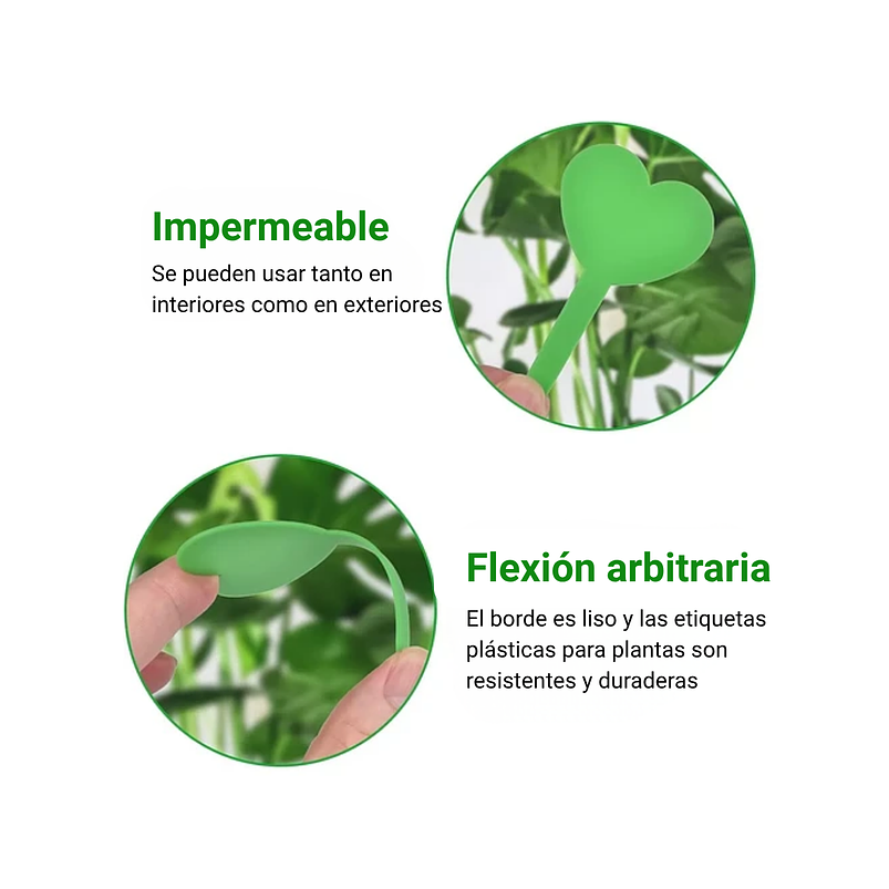 Etiquetas Plantas Siembra Corazón x25 Unidades 19
