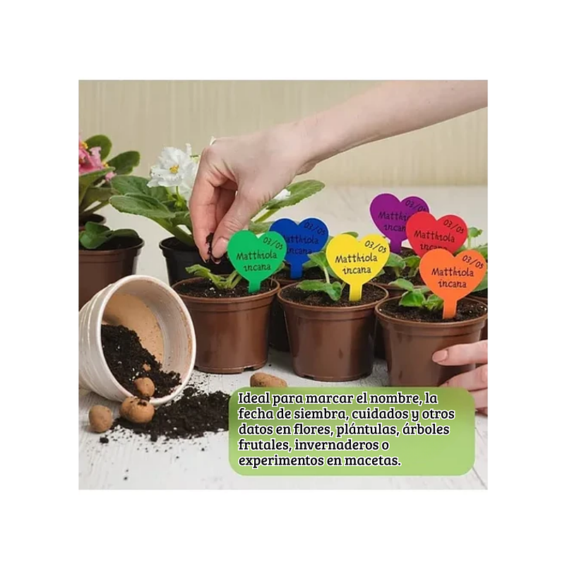 Etiquetas Plantas Siembra Corazón x100 Unidades 11