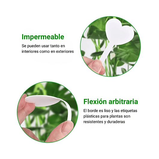 Etiquetas Plantas Siembra Corazón x100 Unidades 19