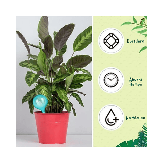 Bomba de Riego Estacas para Plantas en Maceta x4 Unidades 5