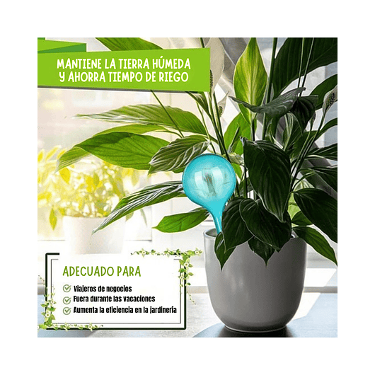 Bomba de Riego Estacas para Plantas en Maceta x4 Unidades 6