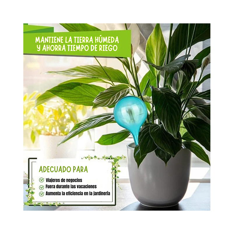 Bomba de Riego Estacas para Plantas en Maceta x4 Unidades 6