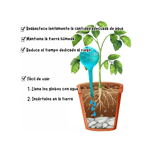 Bomba de Riego Estacas para Plantas en Maceta x4 Unidades 7
