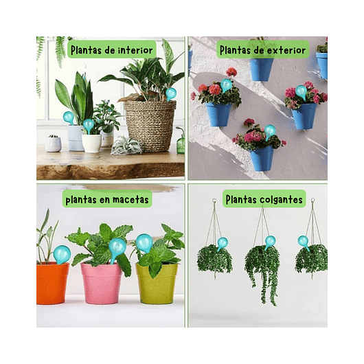 Bomba de Riego Estacas para Plantas en Maceta x4 Unidades 8