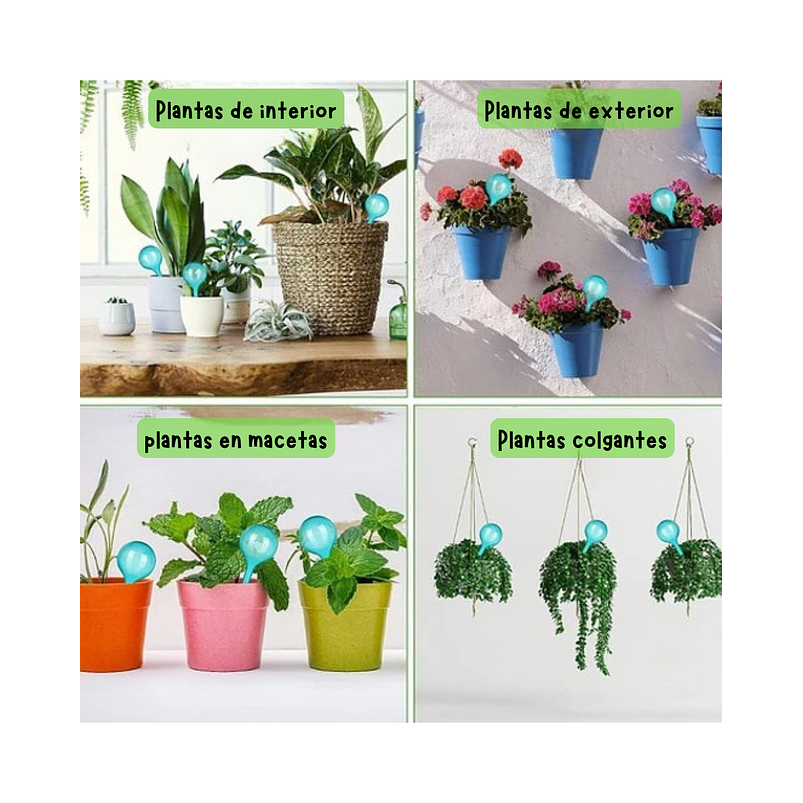 Bomba de Riego Estacas para Plantas en Maceta x4 Unidades 8