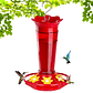 Bebedero Colibríes Aves Jardín Botella en Vidrio 10oz - Miniatura 9