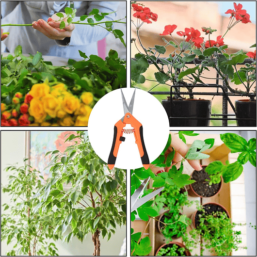 Tijera De Poda De Plantas Acero Inoxidable Punta Recta 11