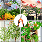 Tijera De Poda De Plantas Acero Inoxidable Punta Recta - Miniatura 11