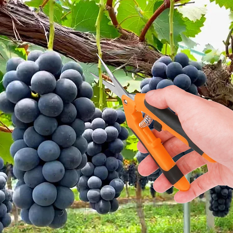 Tijera De Poda De Plantas Acero Inoxidable Punta Recta 10