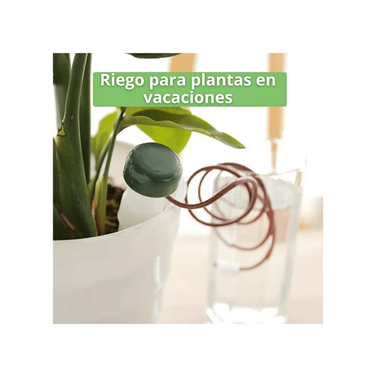 Estacas De Riego Automático Para Plantas X8 Unidades 4
