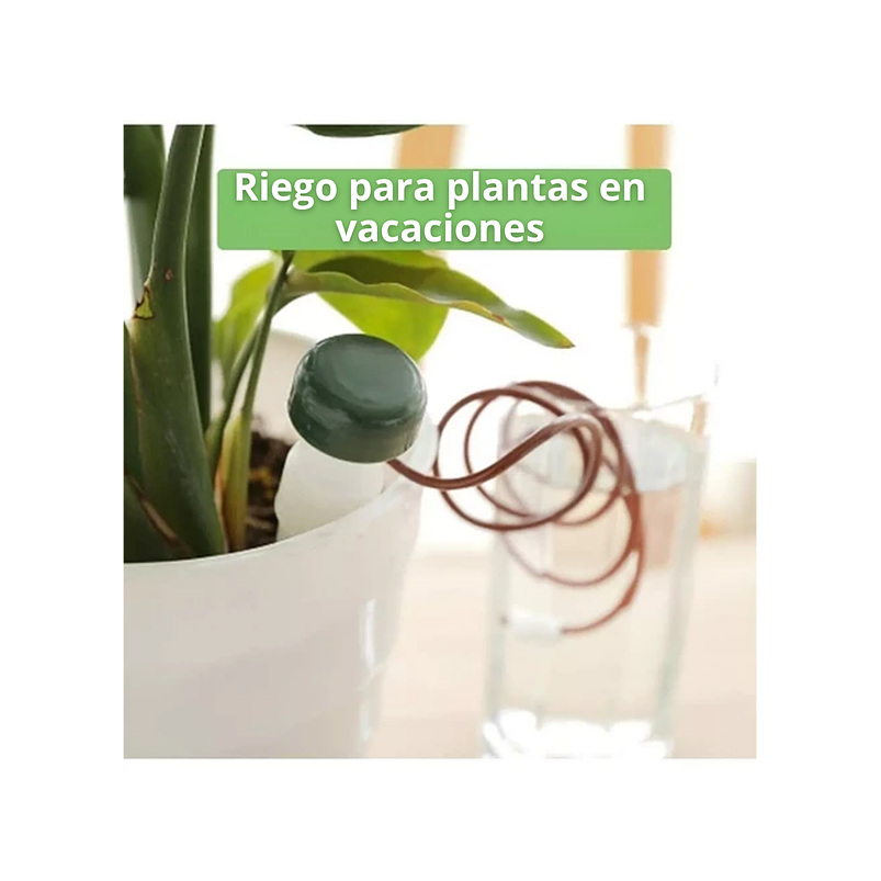 Estacas De Riego Automático Para Plantas X2 Unidades 5