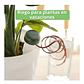 Estacas De Riego Automático Para Plantas X5 Unidades - Miniatura 5