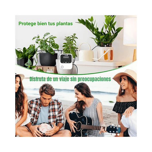 Sistema de Riego Automático con Temporizador Programable para Plantas de Interior 7