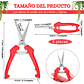 Tijera De Poda Y Despunte Plantas Punta Recta En Acero Inox - Miniatura 4