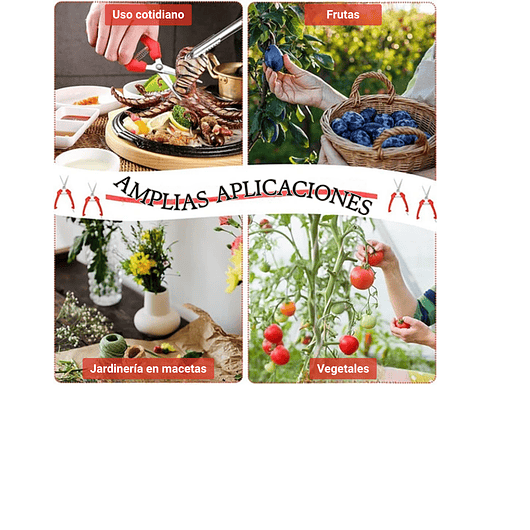 Tijera De Poda Y Despunte Plantas Punta Recta En Acero Inox 6