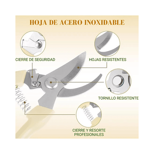 Tijera de Poda Para Plantas - Jardinería Hoja En Acero 13